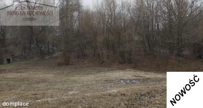 Działka — strzyżowski, Strzyżów