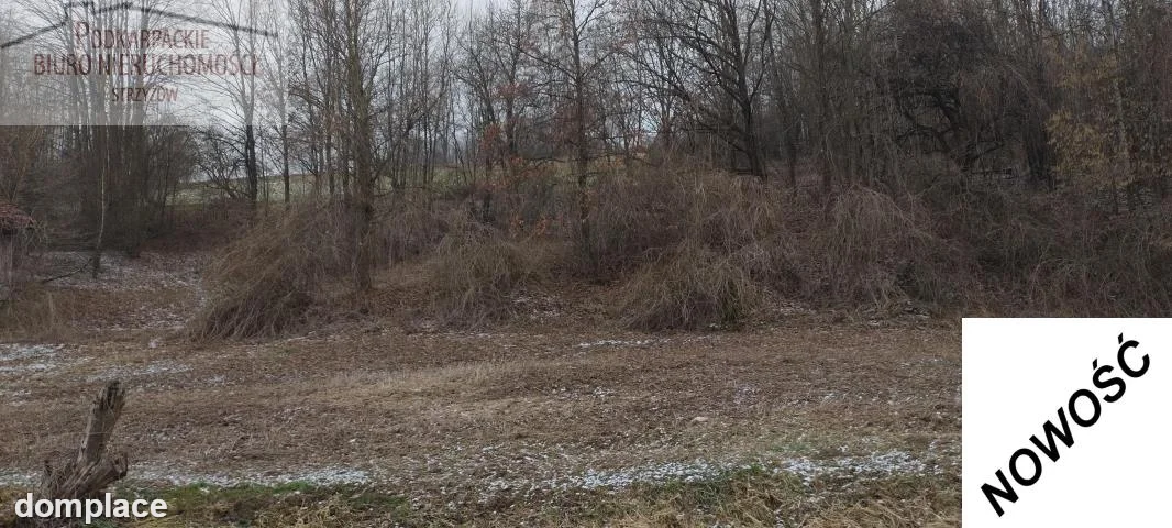 Działka — strzyżowski, Strzyżów