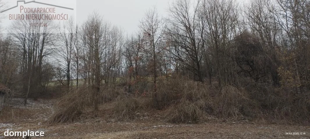 Działka — strzyżowski, Strzyżów — zdjęcie 2