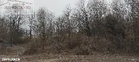 Działka — strzyżowski, Strzyżów — zdjęcie 2