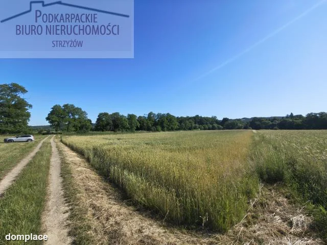 Działka — krośnieński, Wojaszówka — zdjęcie 3