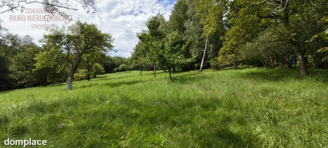 Działka — strzyżowski, Czudec