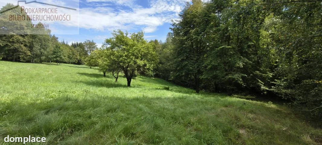 Działka — strzyżowski, Czudec — zdjęcie 3