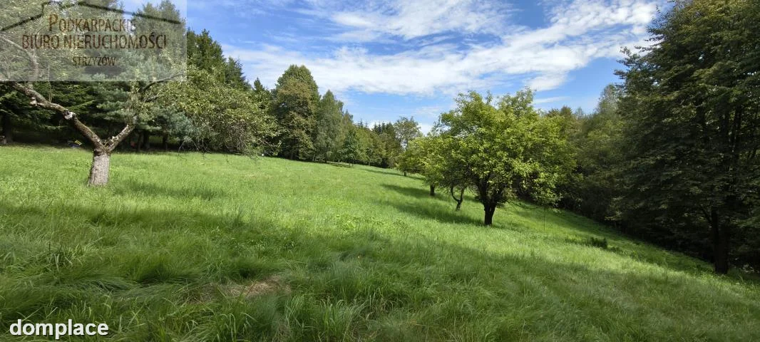 Działka — strzyżowski, Czudec — zdjęcie 4