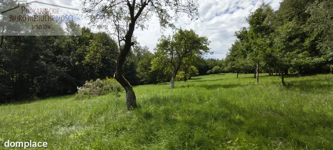 Działka — strzyżowski, Czudec — zdjęcie 6