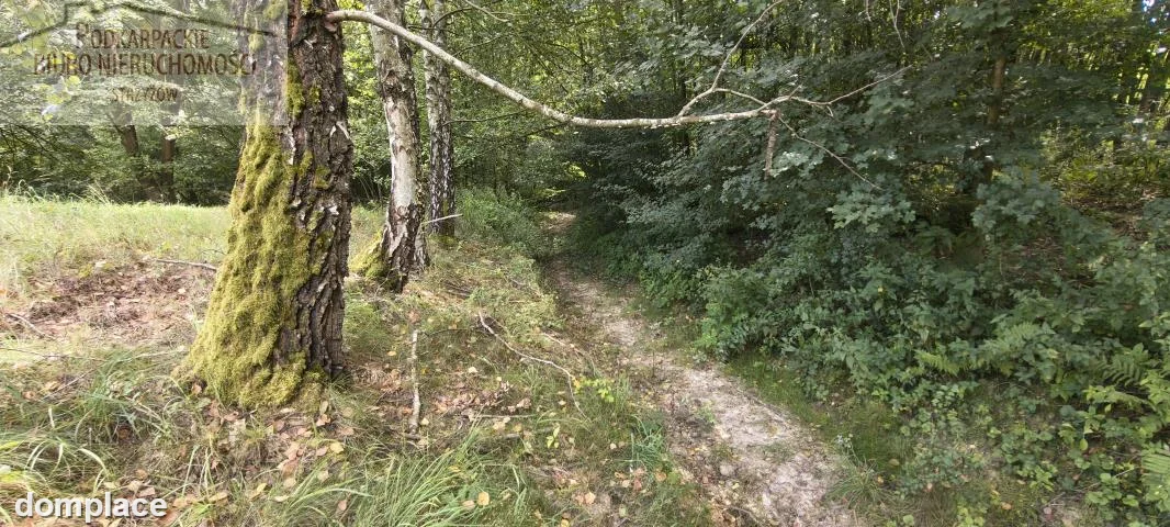 Działka — strzyżowski, Czudec — zdjęcie 8