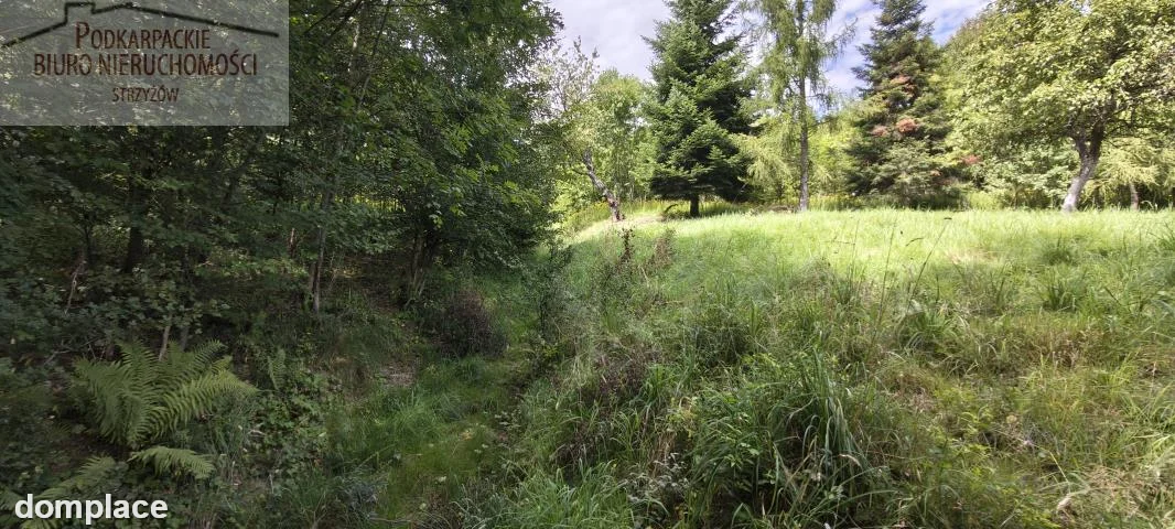 Działka — strzyżowski, Czudec — zdjęcie 9