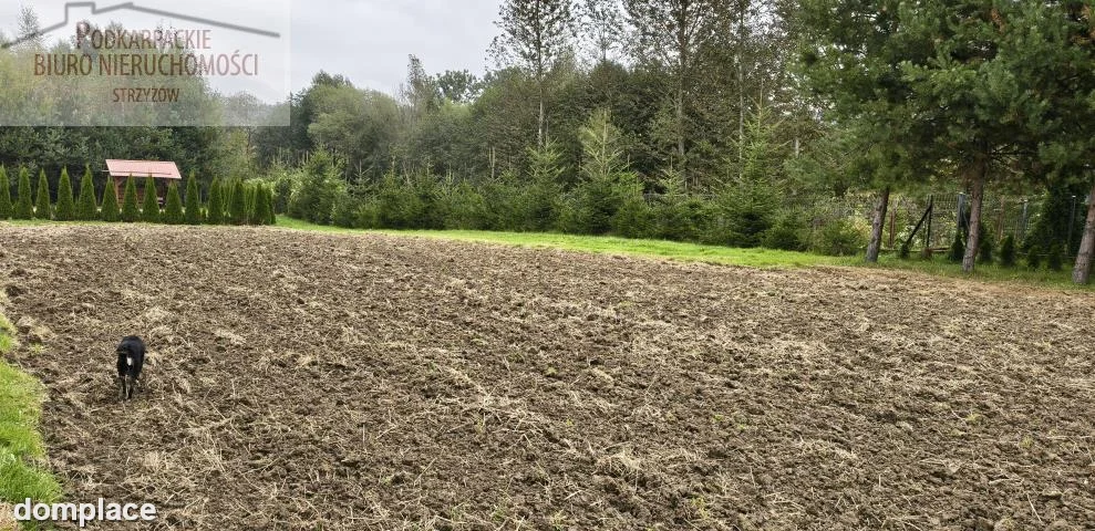 Działka — strzyżowski, Czudec — zdjęcie 2