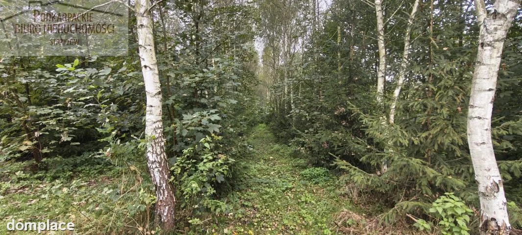 Działka — strzyżowski, Czudec — zdjęcie 5