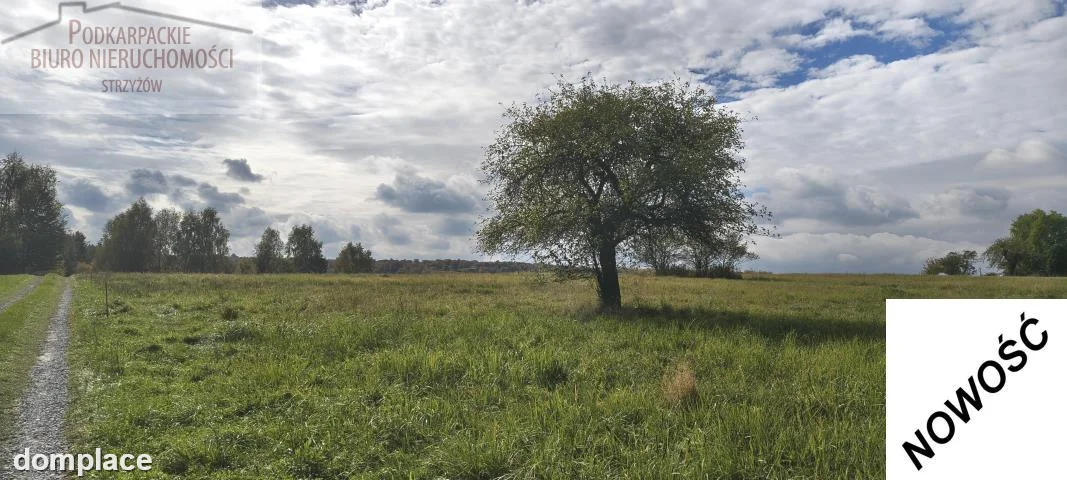 Działka — strzyżowski, Frysztak