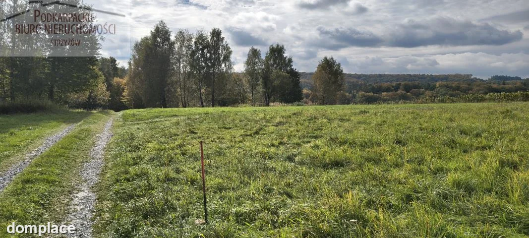 Działka — strzyżowski, Frysztak — zdjęcie 13