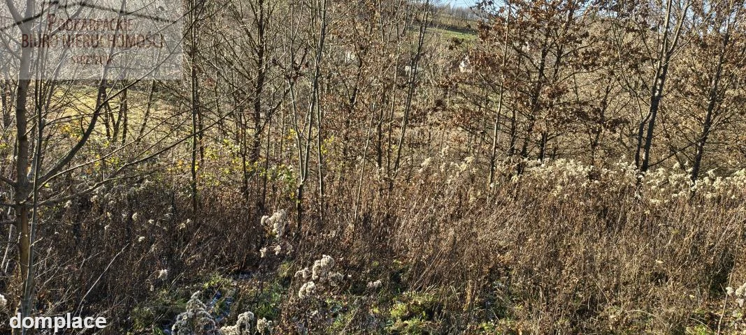 Działka — strzyżowski, Strzyżów — zdjęcie 4