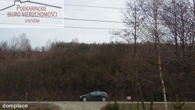 Działka — strzyżowski, Strzyżów — zdjęcie 5