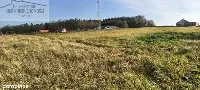 Działka — strzyżowski, Strzyżów — zdjęcie 2