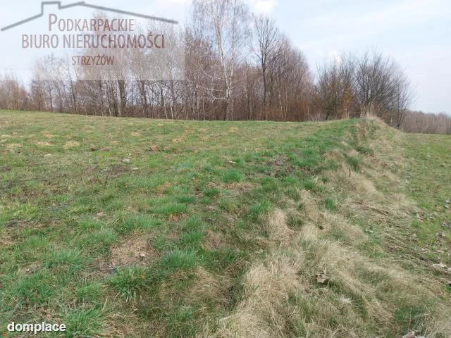 Działka — strzyżowski, Frysztak