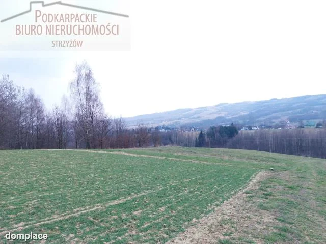 Działka — strzyżowski, Frysztak — zdjęcie 3