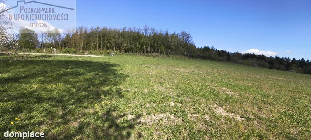 Działka — strzyżowski, Strzyżów