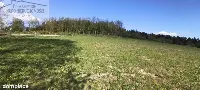 Działka — strzyżowski, Strzyżów — zdjęcie 1