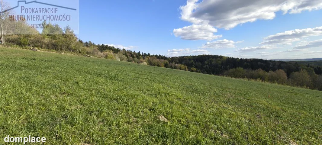 Działka — strzyżowski, Strzyżów — zdjęcie 3