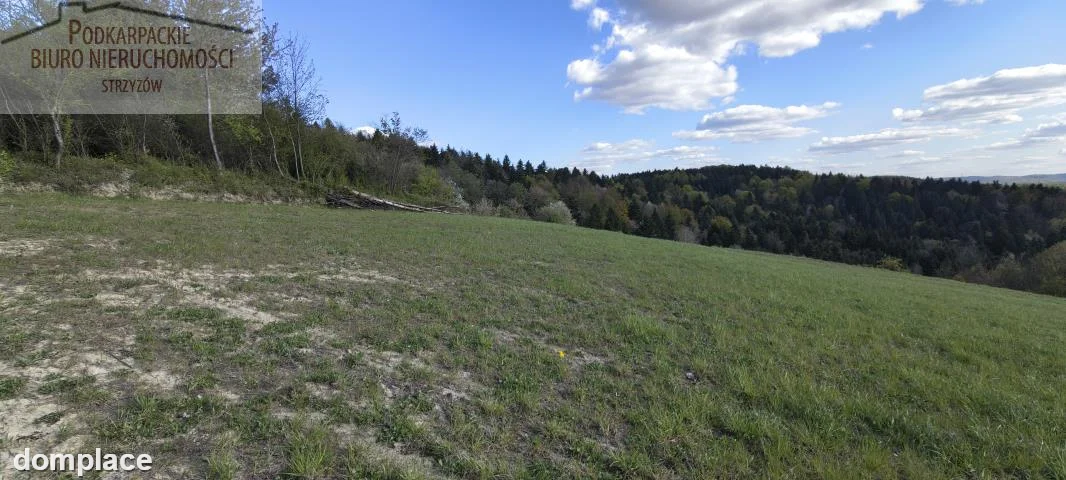 Działka — strzyżowski, Strzyżów — zdjęcie 4