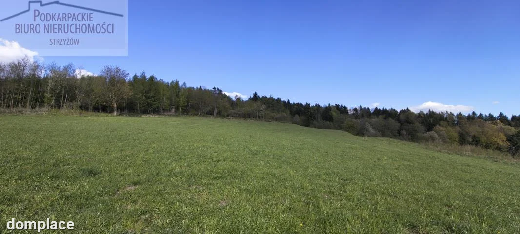 Działka — strzyżowski, Strzyżów — zdjęcie 6