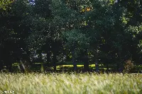 Dom — węgorzewski, Węgorzewo — zdjęcie 10