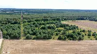 Działka — łomżyński, Miastkowo — zdjęcie 14