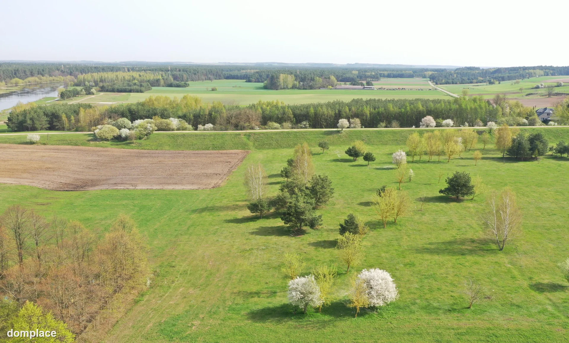 Działka — łomżyński, Nowogród — zdjęcie 6