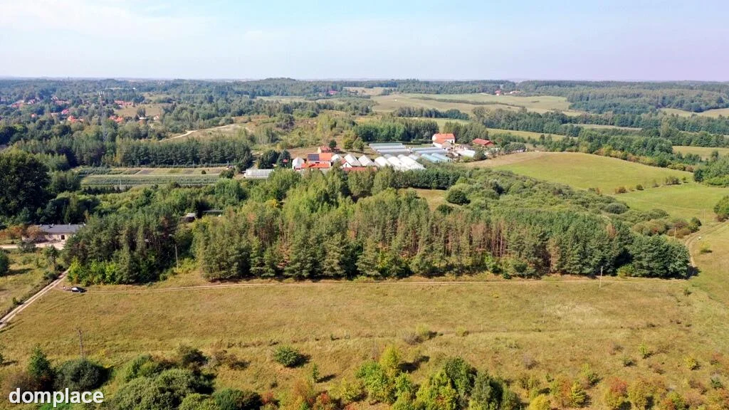 Działka — węgorzewski, Węgorzewo — zdjęcie 3