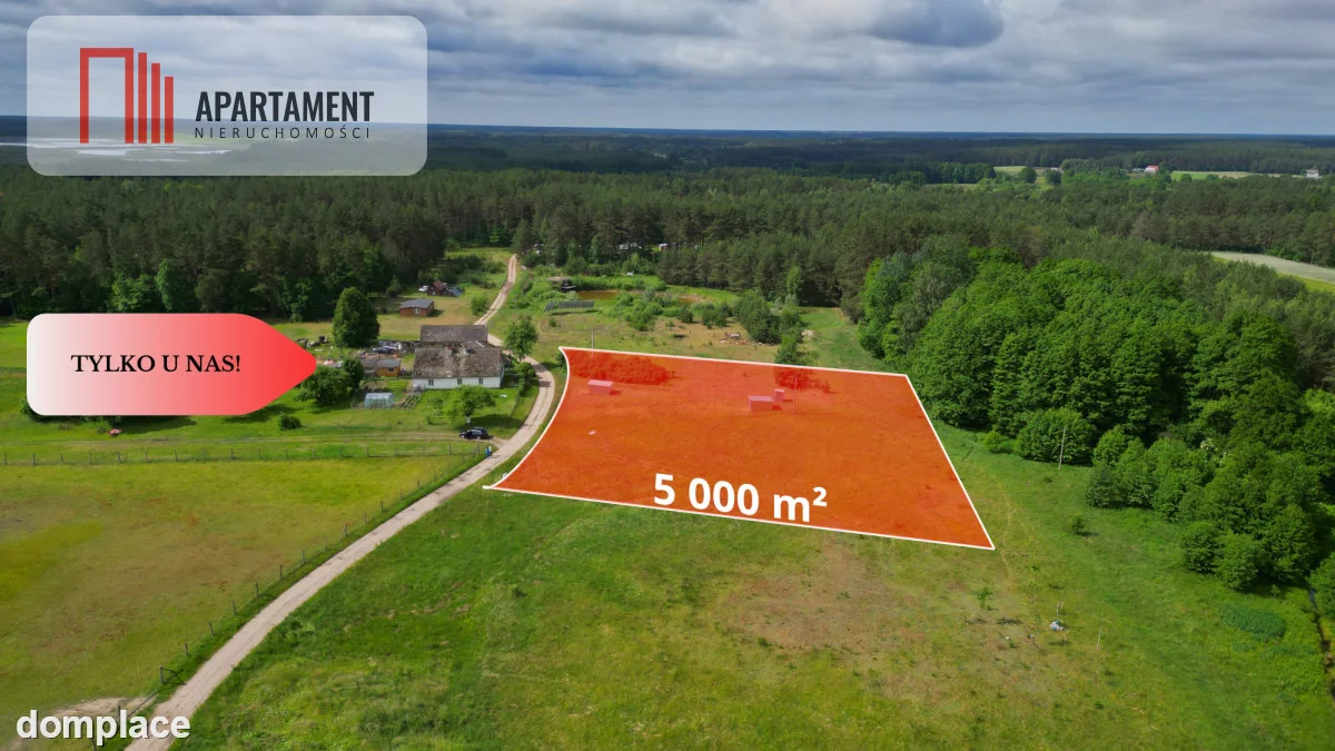 Działka 5000 m2 ze ścianą lasu, raj dla duszy