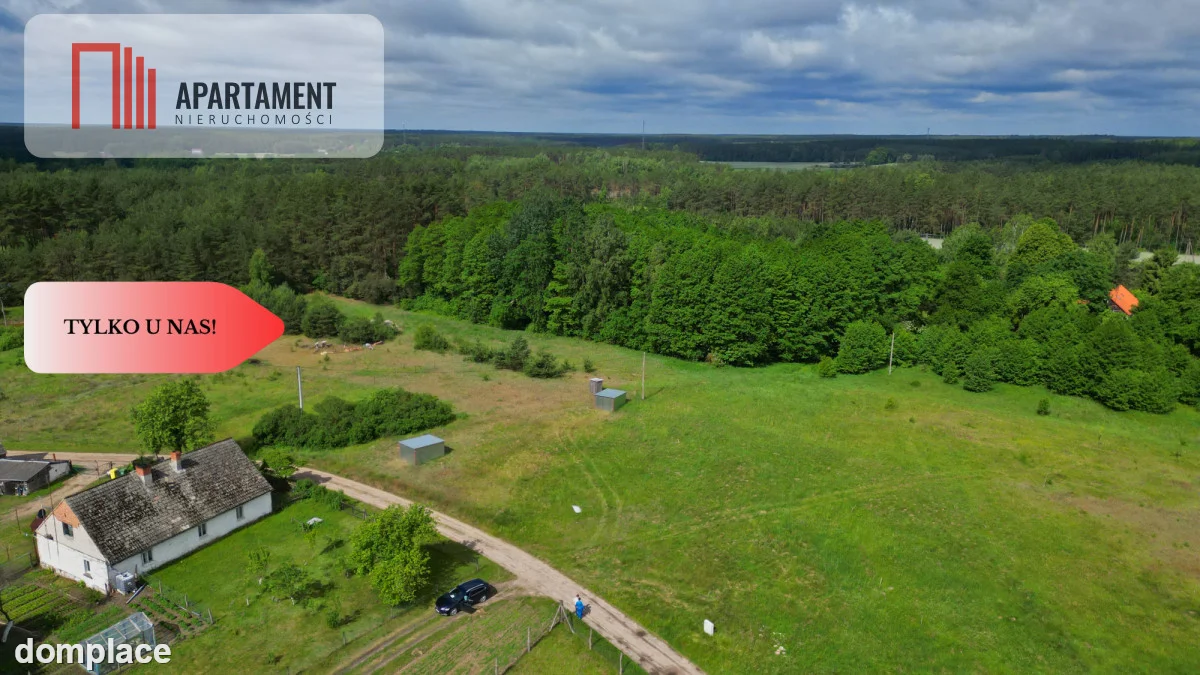 Działka 5000 m2 ze ścianą lasu, raj dla duszy — zdjęcie 3
