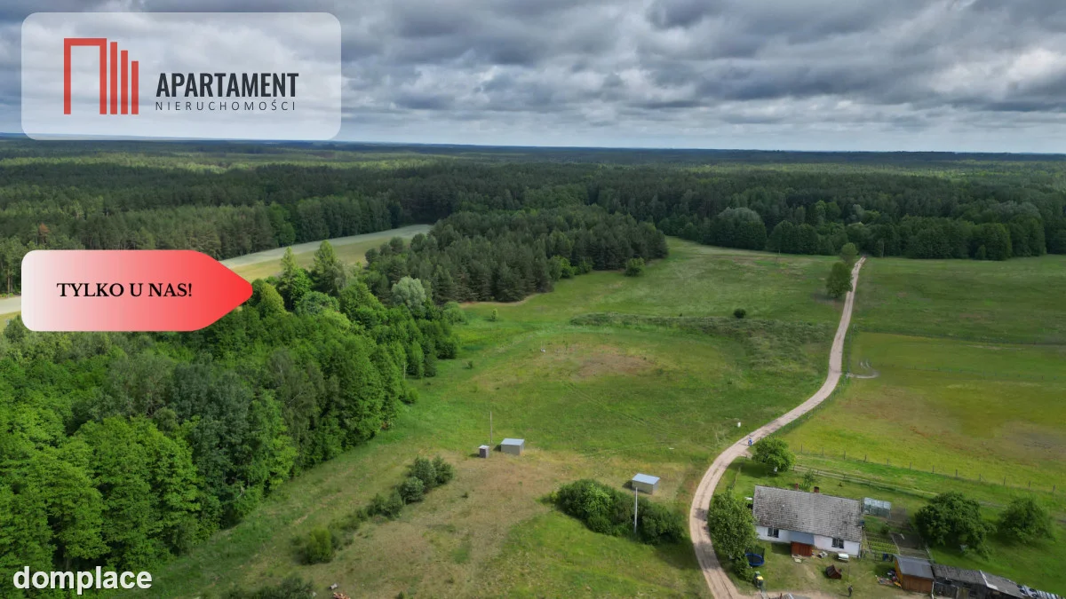 Działka 5000 m2 ze ścianą lasu, raj dla duszy — zdjęcie 5