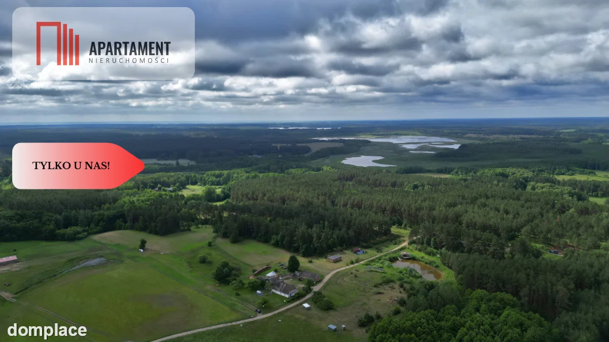Działka 5000 m2 ze ścianą lasu, raj dla duszy — zdjęcie 6