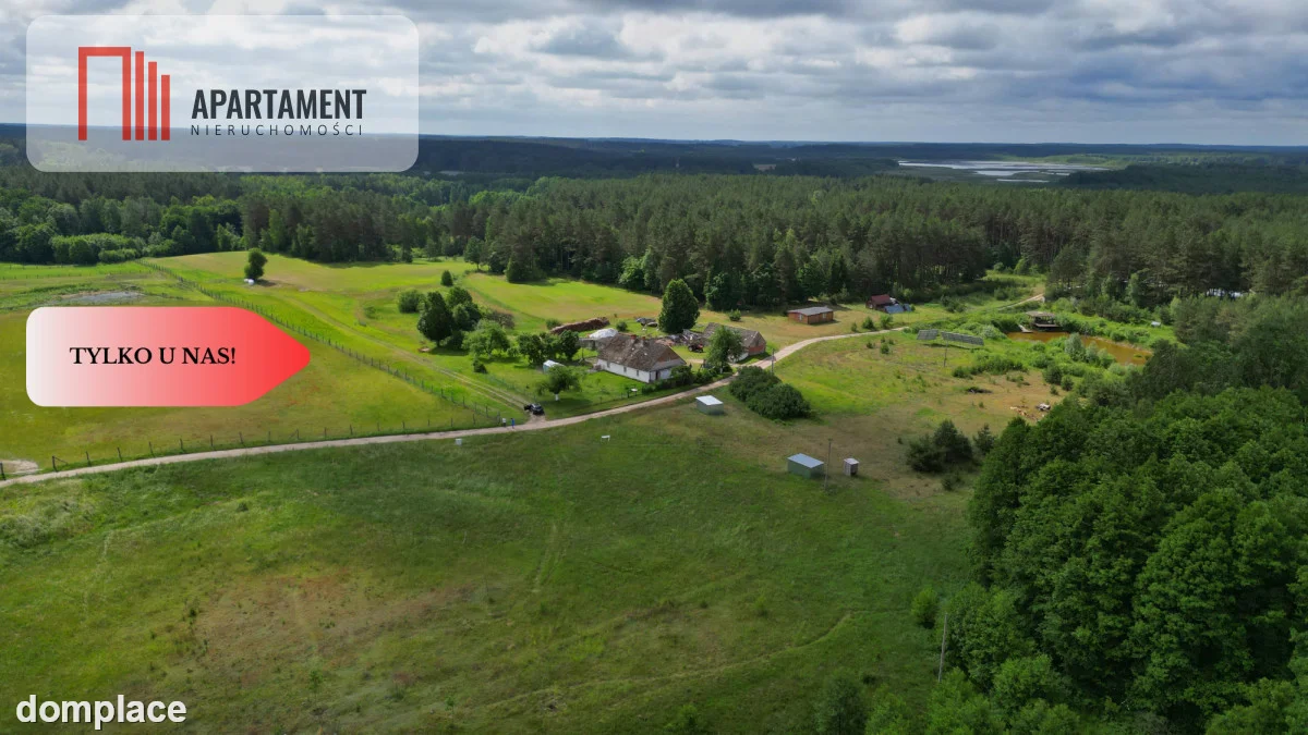Działka 5000 m2 ze ścianą lasu, raj dla duszy — zdjęcie 7