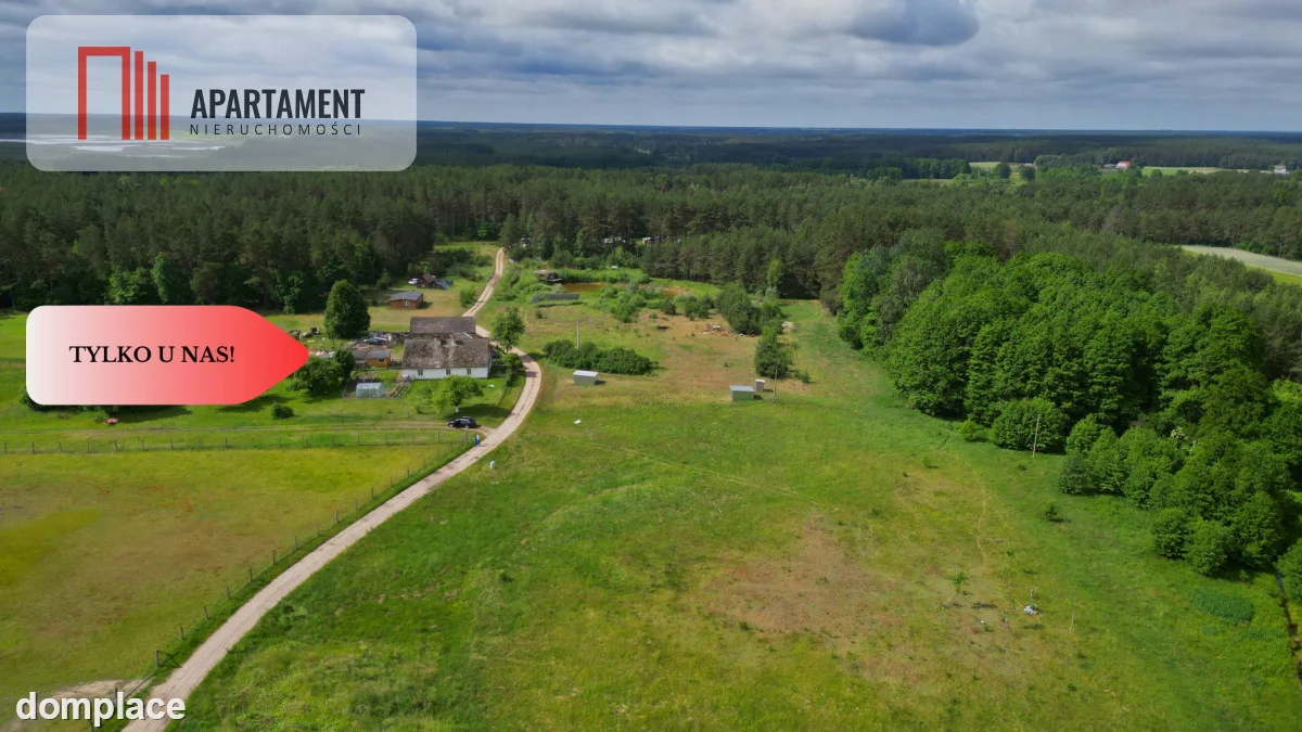 Działka 5000 m2 ze ścianą lasu, raj dla duszy — zdjęcie 8