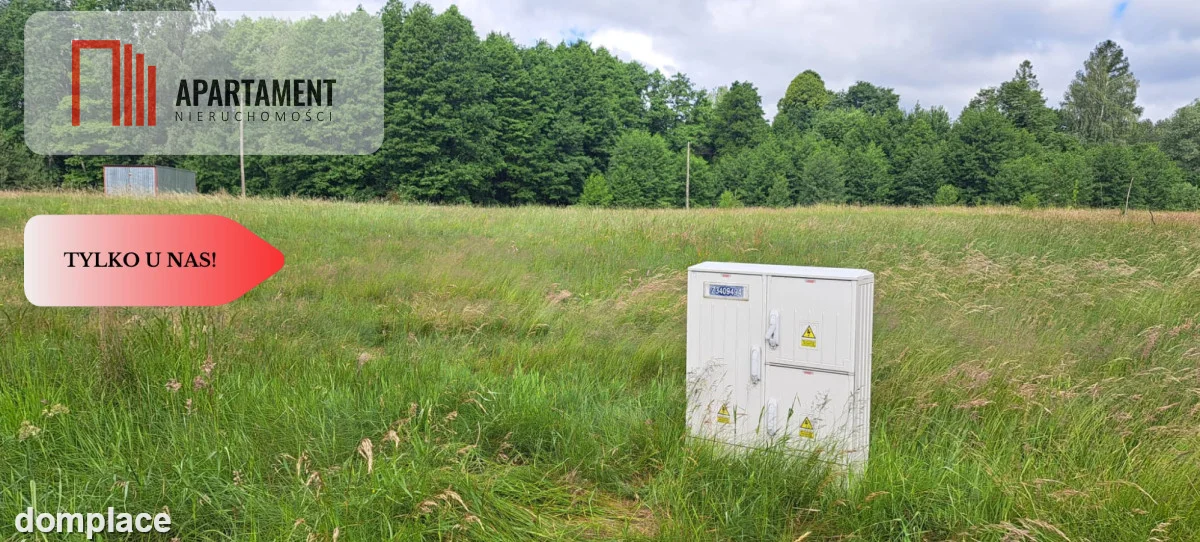 Działka 5000 m2 ze ścianą lasu, raj dla duszy — zdjęcie 10