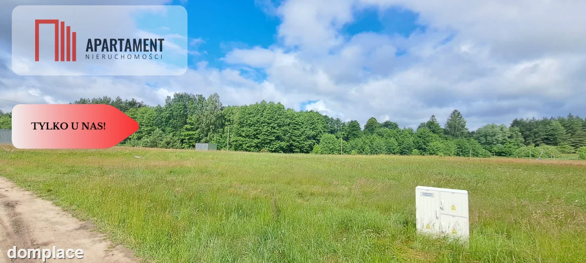 Działka 5000 m2 ze ścianą lasu, raj dla duszy — zdjęcie 11