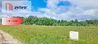 Działka 5000 m2 ze ścianą lasu, raj dla duszy — zdjęcie 11