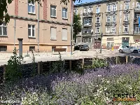 Mieszkanie — zdjęcie 9