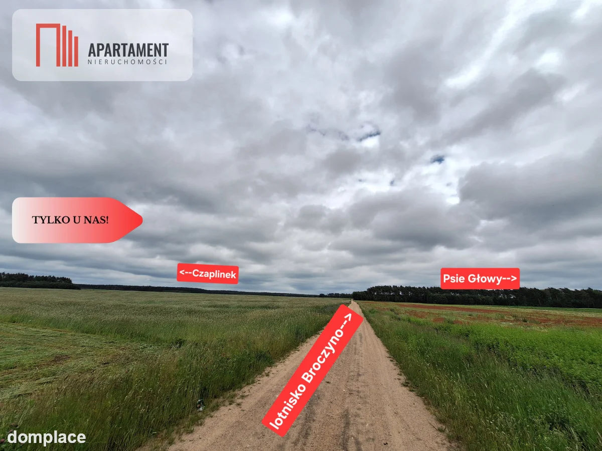 Działka rolna na wsi, Pławno — zdjęcie 3