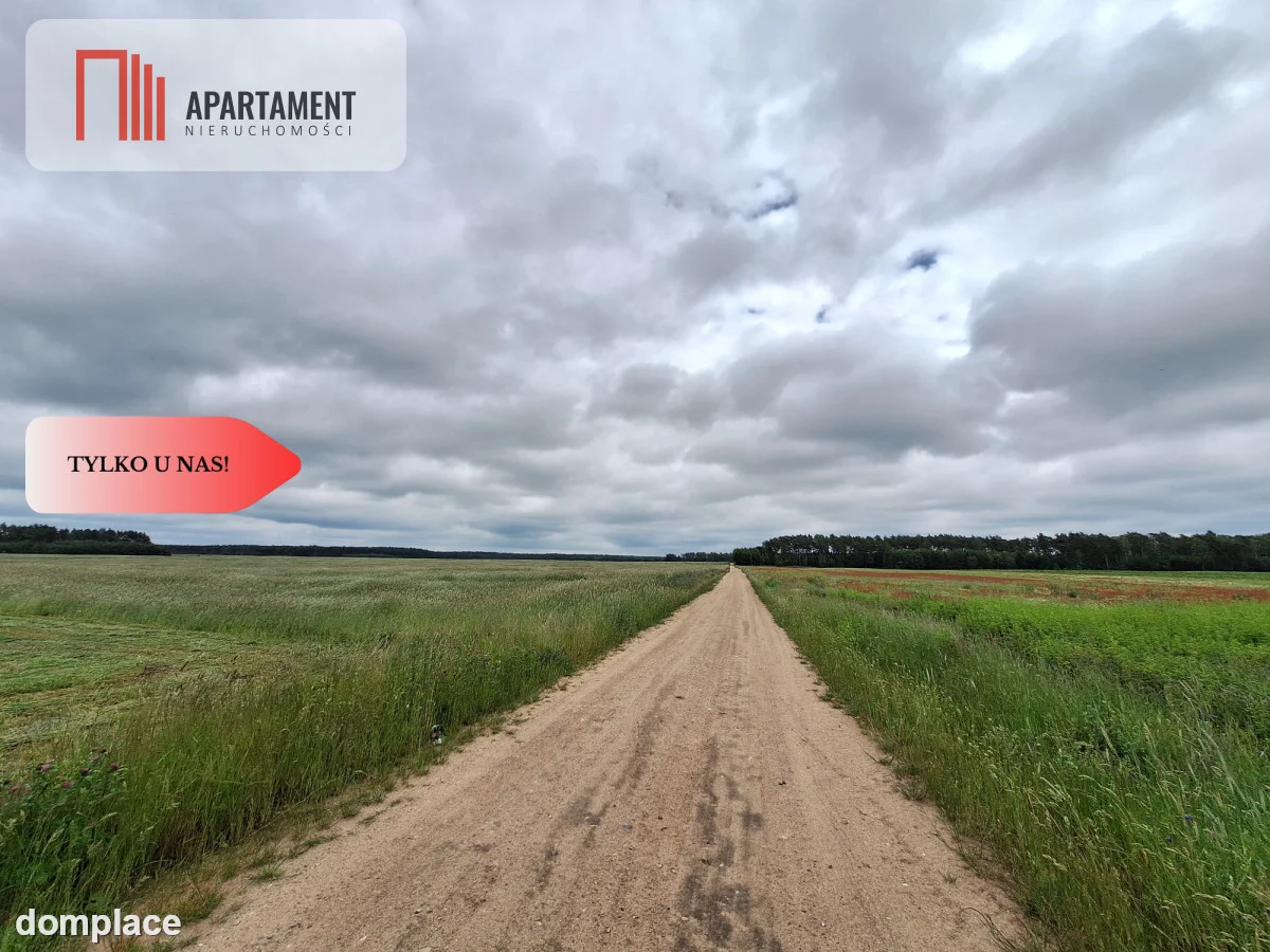 Działka rolna na wsi, Pławno — zdjęcie 4