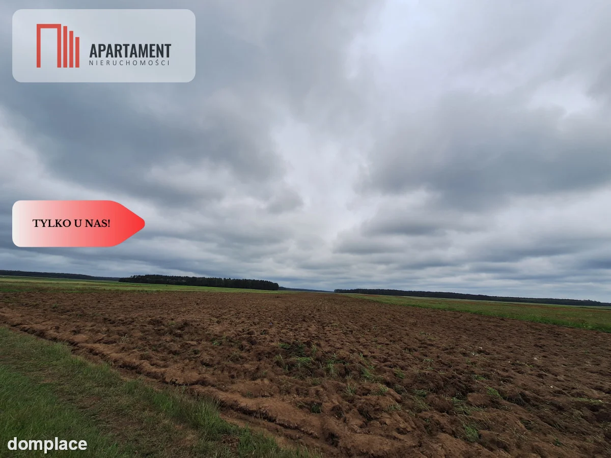 Działka rolna na wsi, Pławno — zdjęcie 5