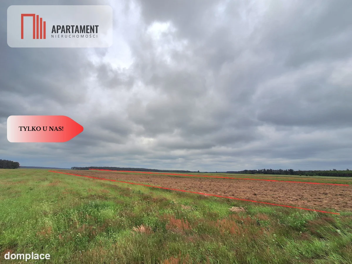 Działka rolna na wsi, Pławno — zdjęcie 6