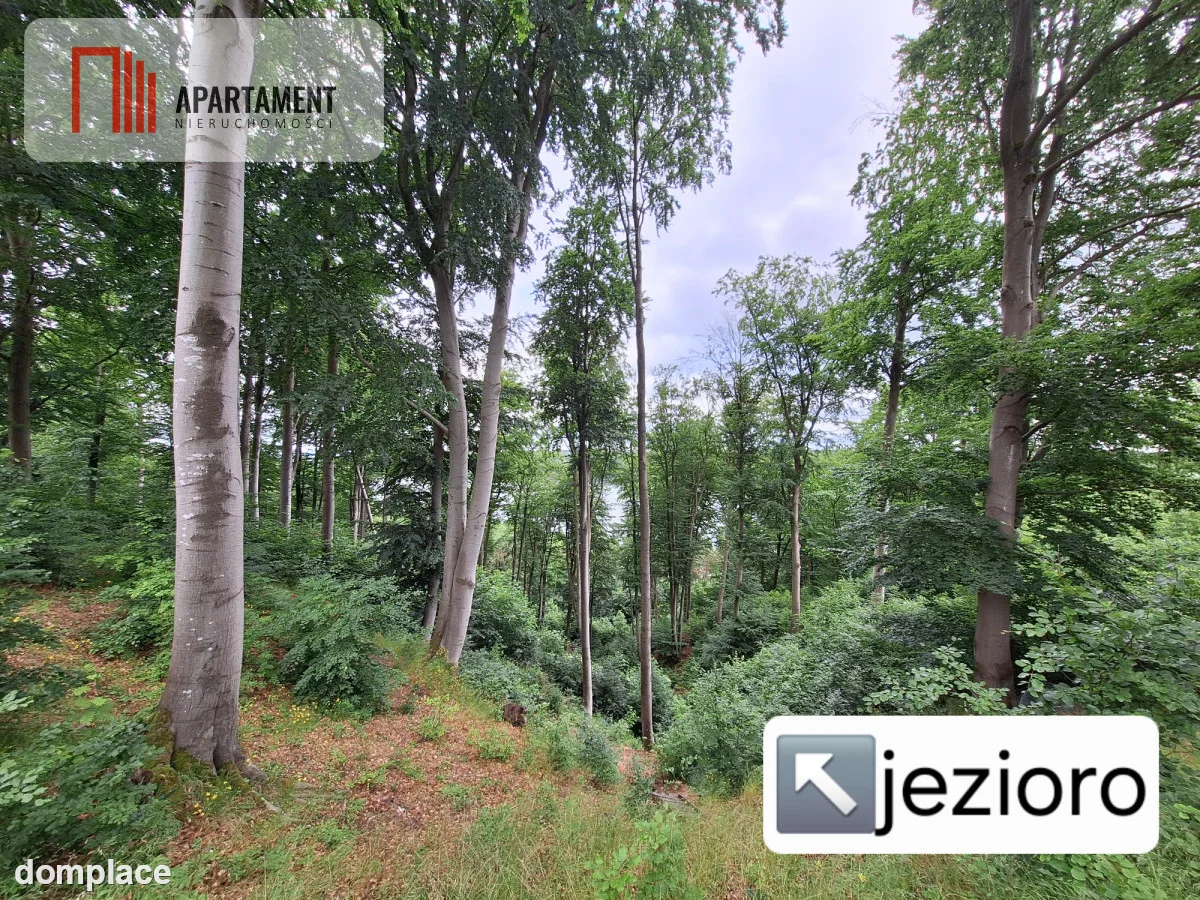 Działka w pobliżu jeziora, lasów i łąk — zdjęcie 7