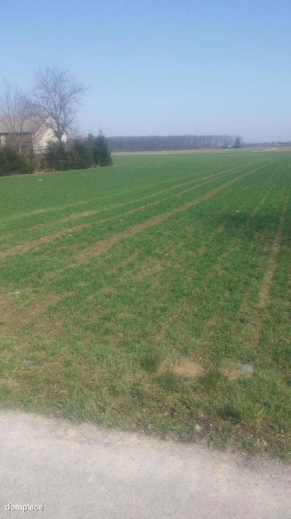 Jakubowice Kon. - Szeroka działka budowlana