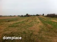 Wola Przybysławska 77 ar