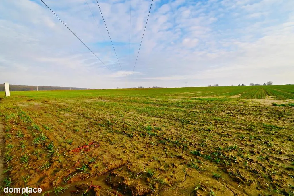 Działka rolno-budowlana - doskonała inwestycja!