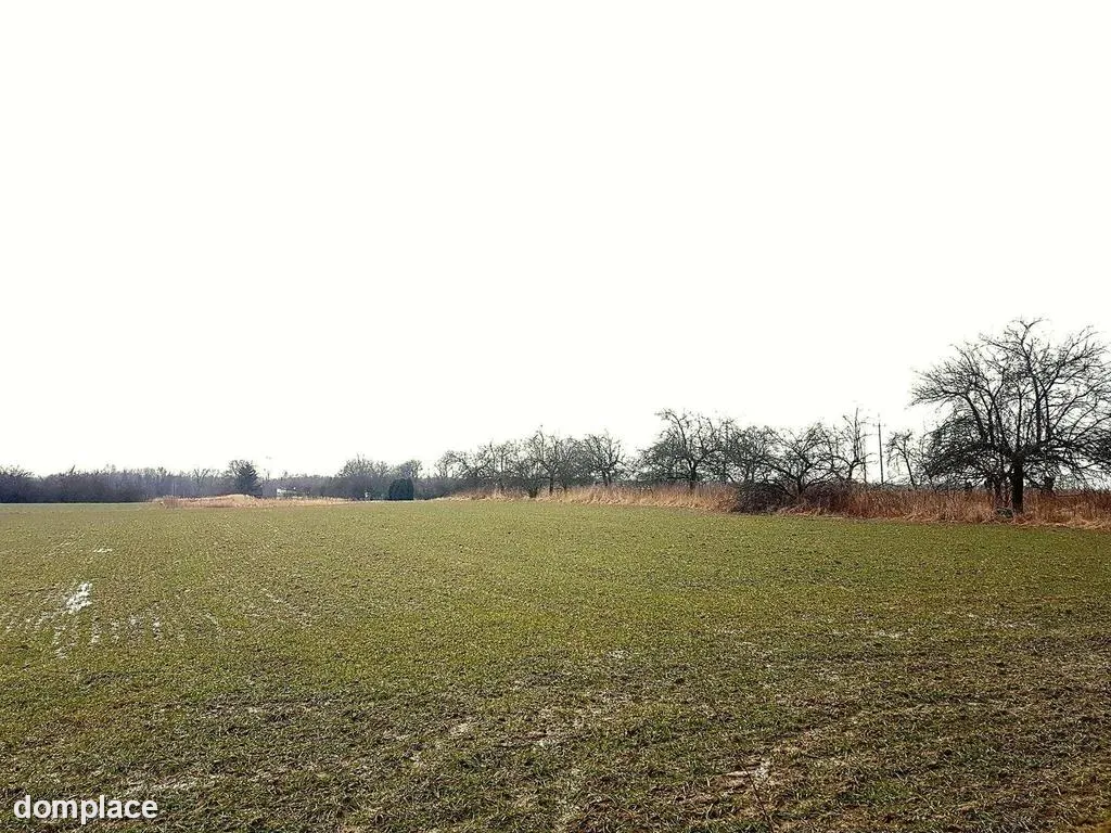 Uniszowice gm. Konopnica, 7800 m2