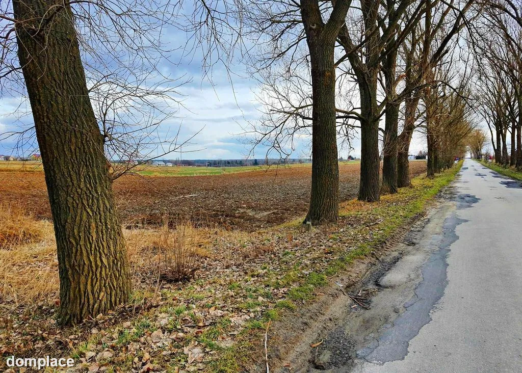 Działka inwestycyjna w Zemborzycach Kościelnych