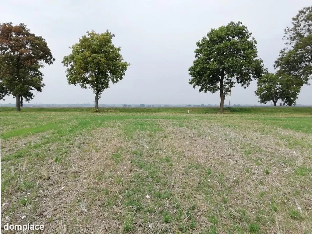 Działka inwestycyjna 4,5 ha bezpośrednio przy S12